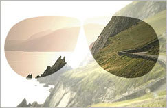 Polarized Lenses