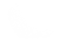 Silhouette Lens 4207