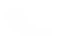 Silhouette Lens 4208