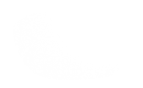 Silhouette Lens 4210