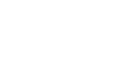 Silhouette Lens 4216