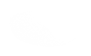 Silhouette Lens 4224