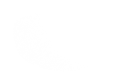 Silhouette Lens 6617