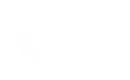 Silhouette Lens 6651