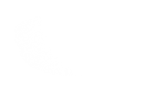 Silhouette Lens 6655