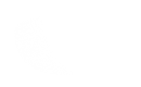 Silhouette Lens 6656