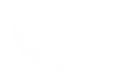 Silhouette Lens 6663
