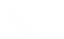 Silhouette Lens 6667