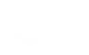 Silhouette Lens 6675
