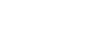 Silhouette Lens 6676