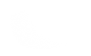 Silhouette Lens 6678