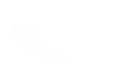 Silhouette Lens 6681