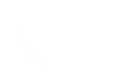Silhouette Lens 6683