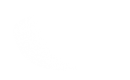 Silhouette Lens 6685