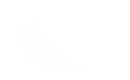 Silhouette Lens 6690
