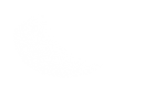 Silhouette Lens 6692