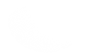 Silhouette Lens 6694