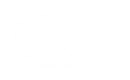 Silhouette Lens 6703