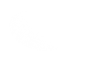 Silhouette Lens 6737