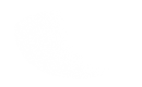Silhouette Lens 6755