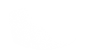 Silhouette Lens 6762