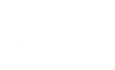 Silhouette Lens 6766