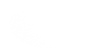 Silhouette Lens 6767