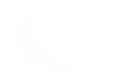 Silhouette Lens 6775