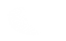 Silhouette Lens 6779