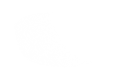 Silhouette Lens 6781