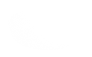 Silhouette Lens 6794