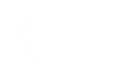 Silhouette Lens 7551
