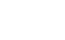 Silhouette Lens 7553