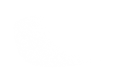 Silhouette Lens 7596