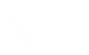 Silhouette Lens 7597