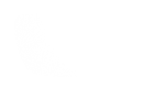 Silhouette Lens 7601