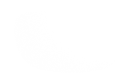 Silhouette Lens 7616