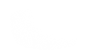 Silhouette Lens 7619