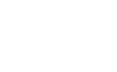 Silhouette Lens 7629