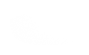 Silhouette Lens 7634