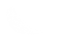 Silhouette Lens 7636