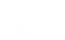 Silhouette Lens 7637