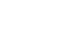 Silhouette Lens 7641