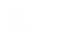 Silhouette Lens 7733