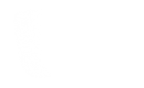 Silhouette Lens 7736